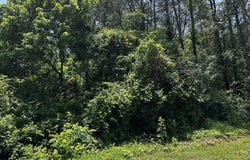 1995 Bluebird Circle, Morristown, TN 37814