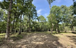 Lot 5 Hobbstown Road, Dunlap, TN 37327