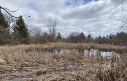 Lt3 E Hawthorne Dr, Fredonia, WI 53021