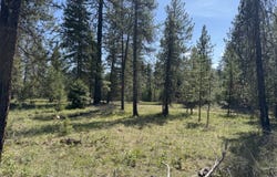 Nhn Franko Lane, Trout Creek, MT 59874