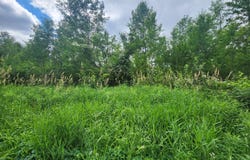 685 Wheelertown, Russia, NY 13438