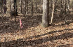 Tannenbaum Rd. lot: 78, Drasco, AR 72530