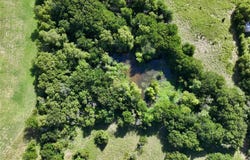 5690 NW County Road 4052, Frost, TX 76641