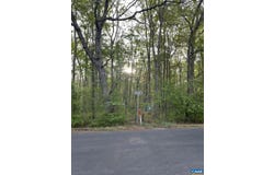 BLACK WALNUT RUN RD, RHOADESVILLE, VA 22542