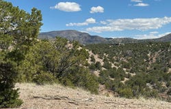 64 GOLD MINE Trail, Sandia Park, NM 87047