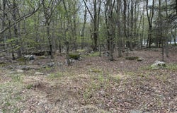 Pocono Drive E, Gouldsboro, PA 18424