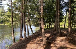 0 Beecher Park Way, Long Lake, NY 12847