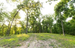 Tbd Bergen Lane NE, Solon, IA 52333