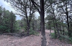 Lot 61 Upper Pinabete, Questa, NM 87556