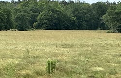 TBD N HWY 27 Highway, Story, AR 71970
