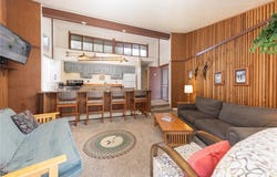 1173 SKI HILL ROAD, Breckenridge, CO 80424