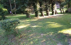 461 JEWELL ROAD, DUNKIRK, MD 20754