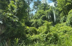 TBD WEST LAKESHORE Drive, Natchitoches, LA 71457