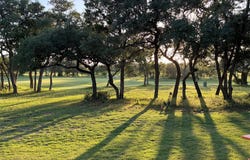 233 Leaping Holly ST, San Marcos, TX 78666