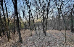 Lots 153 - 154 W 3rd Drive, Oxford, WI 53592