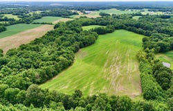 Gillahan lot: 2B, Ledbetter, KY 42058