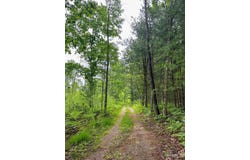 00 Millerton Road, Branch, MI 49402