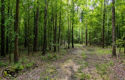 0 State Route 125, Henderson, TN 38340