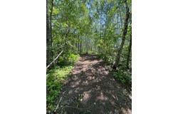 XXX2 Elde Rd, Cotton, MN 55724