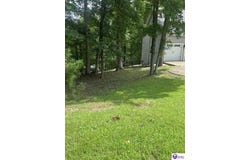 102 Pineland Lane, Brandenburg, KY 40108