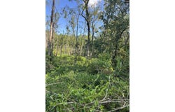 TBD Catalina Boulevard, North, SC 29112