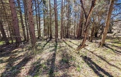 South Bolivar Road, Bolivar, NY 14715