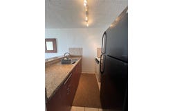 16 AMAPOLA, CAROLINA, 00979