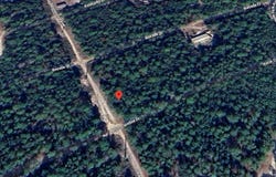 118 N CAROLINA DRIVE, SATSUMA, FL 32189