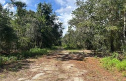 1631 NE 123RD Terrace, WILLISTON, FL 32696