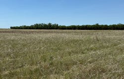 360 +/- Acres, Holt County, O Neill, NE 68763