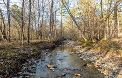 TBD Cedar Creek Road, Hot Springs, AR 71901