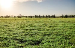 Tract 6 Fieldcrest Ln, Burton, TX 77835