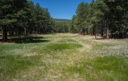 Cimarron Trail lot: 551, Angel Fire, NM 87710