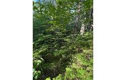 0 N Mack Lake Road, Trego, WI 54888