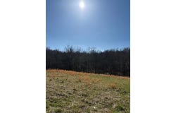 Tract 1 Pleasant Grove Road, Corinth, KY 41010