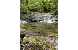 434 Monroe Branch Lane, Monroe, TN 38573