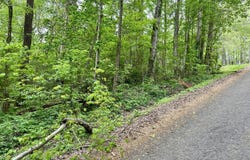 Lot 25 Omega Drive, Whitwell, TN 37397