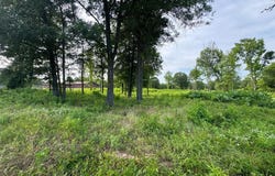 Tbd Billy Daniel Parkway, Mount Pleasant, TX 75455