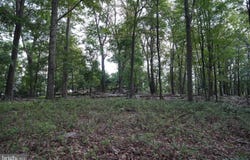 LOT 7 JUSTIN LN, GREAT CACAPON, WV 25422