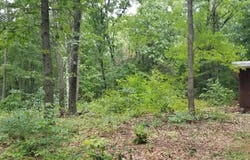 0 Nash Hill Road, Ludlow, MA 01056