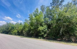 5423 LAREDO Street, Keystone Heights, FL 32656