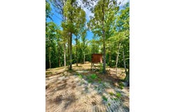 0 County Road 2, Double Springs, AL 35553