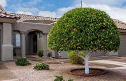 4202 E Broadway Road, Mesa, AZ 85206