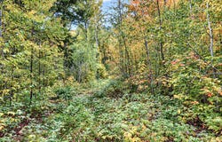 ON LAKESHORE DR, Bessemer, MI 49911