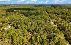 6339 NW 17th Ct, Bell, FL 32619