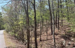 65 Reata Way, Hot Springs Village, AR 71909