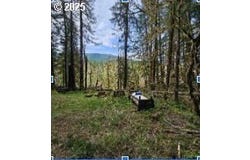 25993 E HENRY CREEK RD, Rhododendron, OR 97049