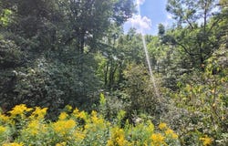 Lot 0 High Street, West Gardiner, ME 04345