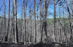 Hot Springs Village, AR 71909
