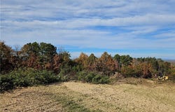 Whitaker Chapel Road, Pilot Mountain, NC 27041